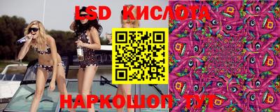 прущие грибы Нягань