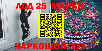 молекула духа Новозыбков